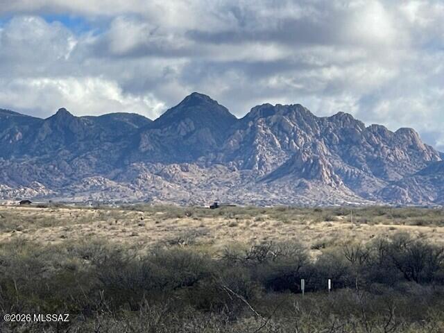Dragoon Mountain Ranch - Land