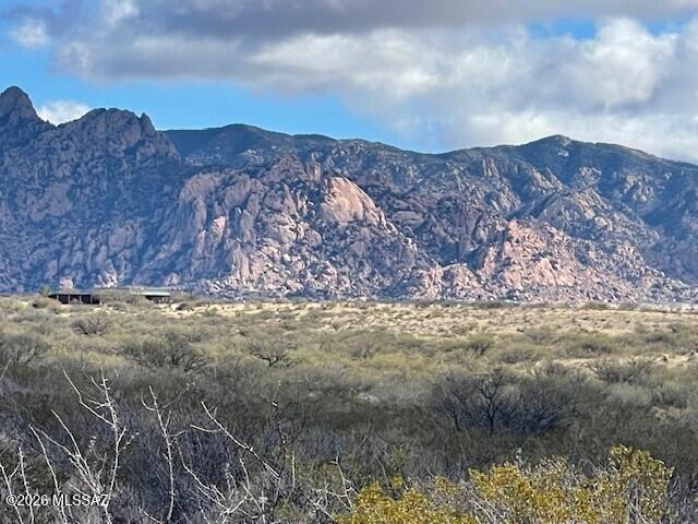 Dragoon Mountain Ranch - Land