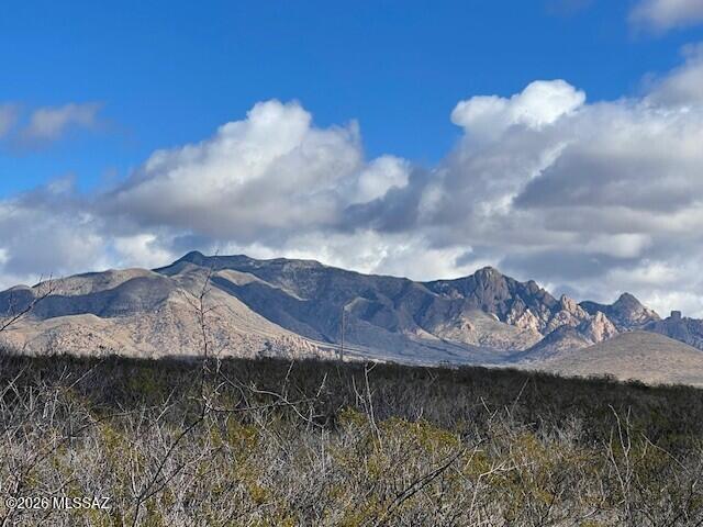 Dragoon Mountain Ranch - Land