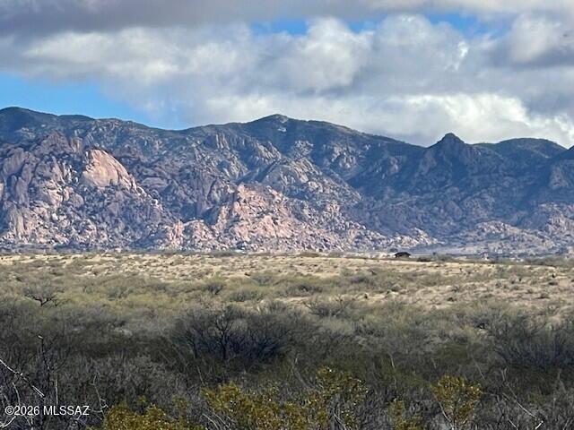 Dragoon Mountain Ranch - Land