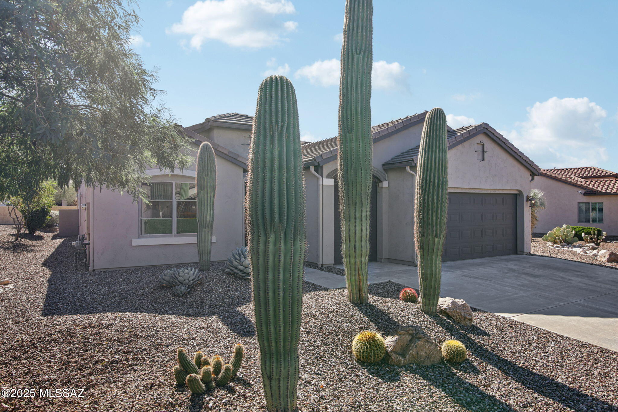 Saddlebrooke Ranch - Residential
