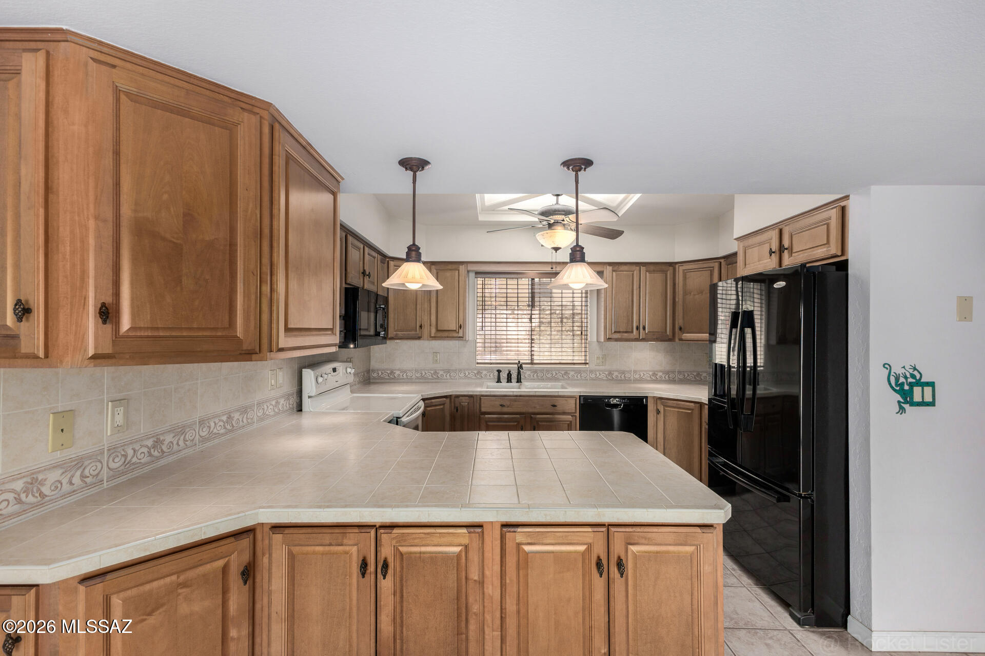 810 N Camino Santiago 31