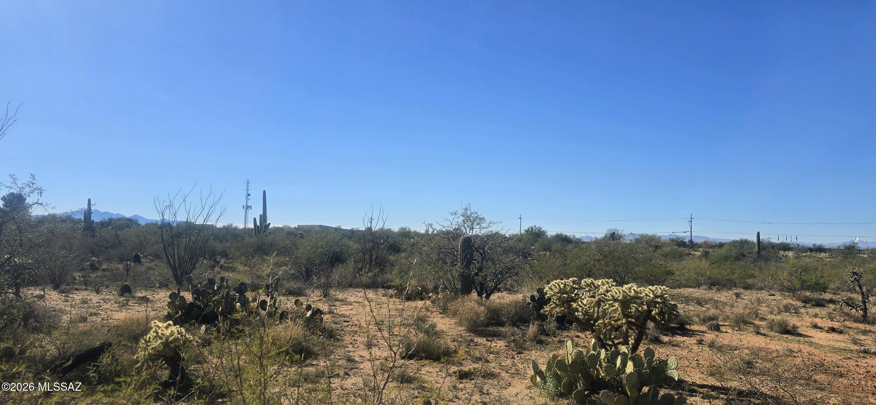 Estates at Old Spanish Trail (1-115) - Land