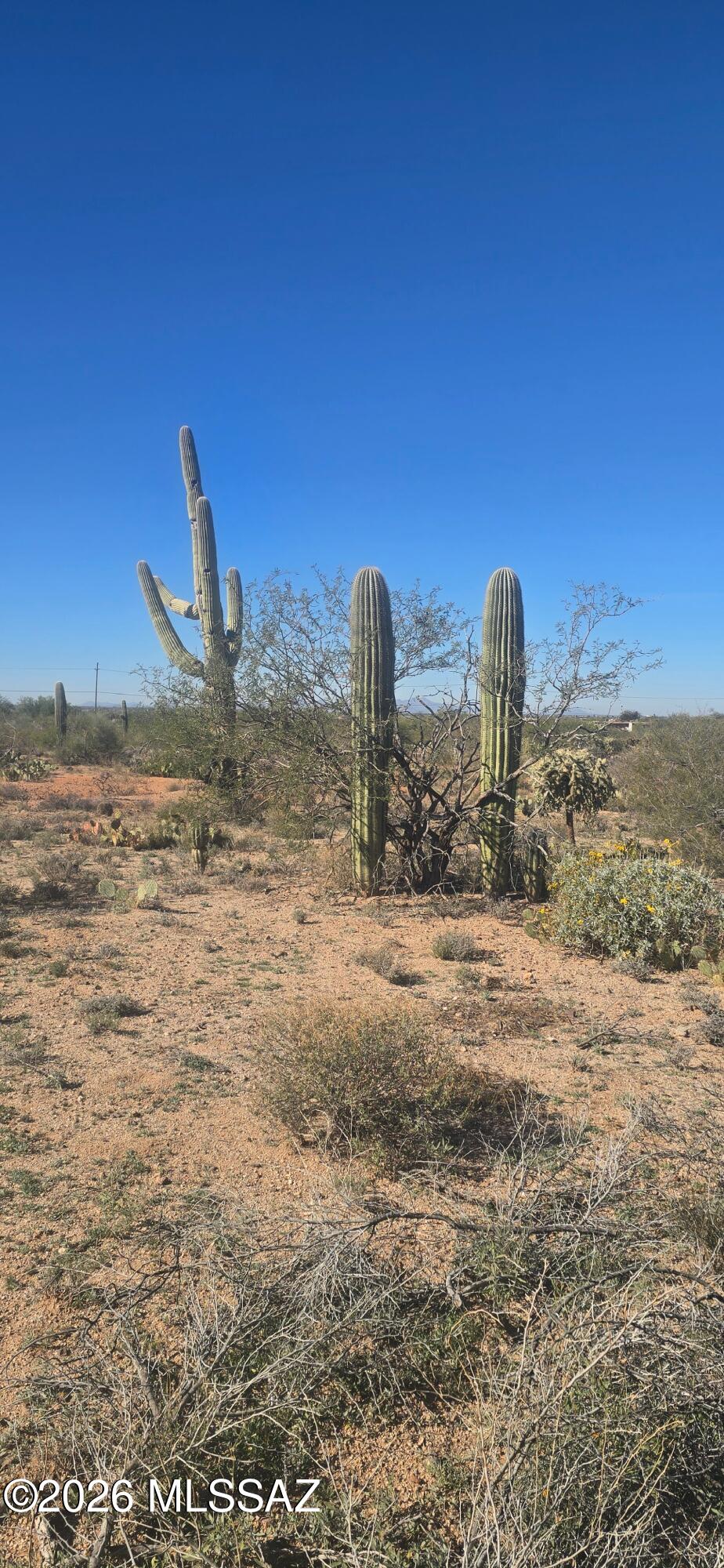 Estates at Old Spanish Trail (1-115) - Land