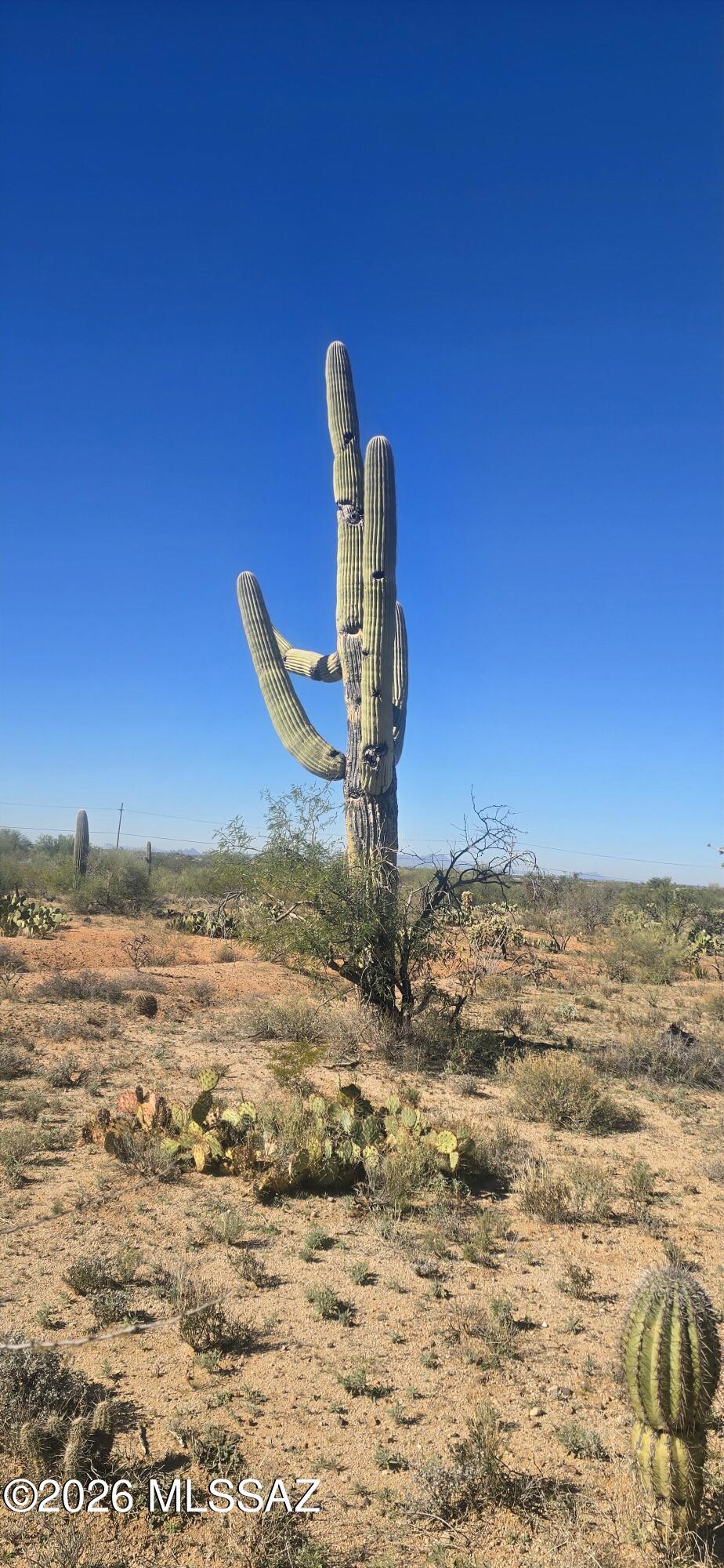 Estates at Old Spanish Trail (1-115) - Land