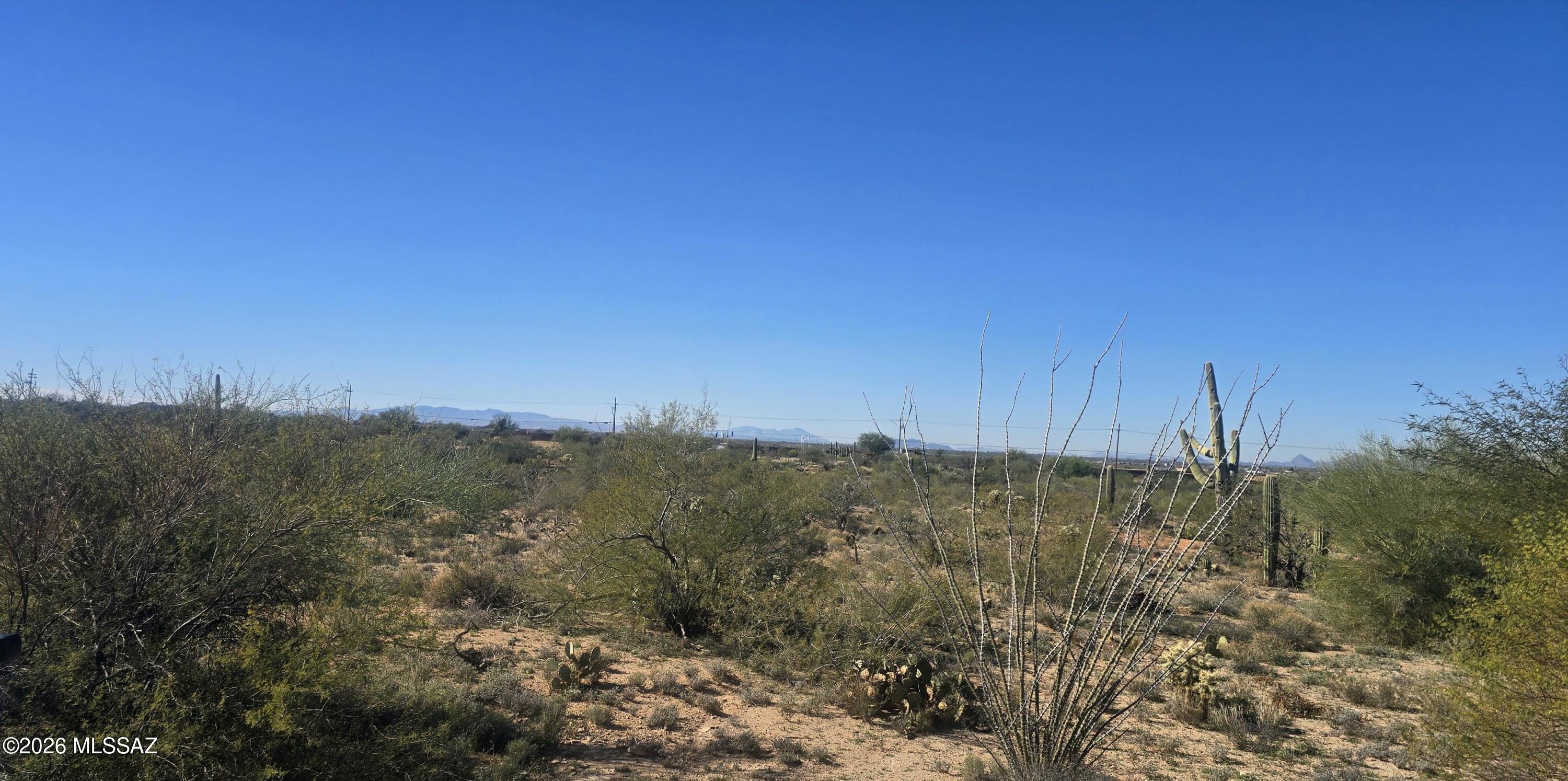 Estates at Old Spanish Trail (1-115) - Land