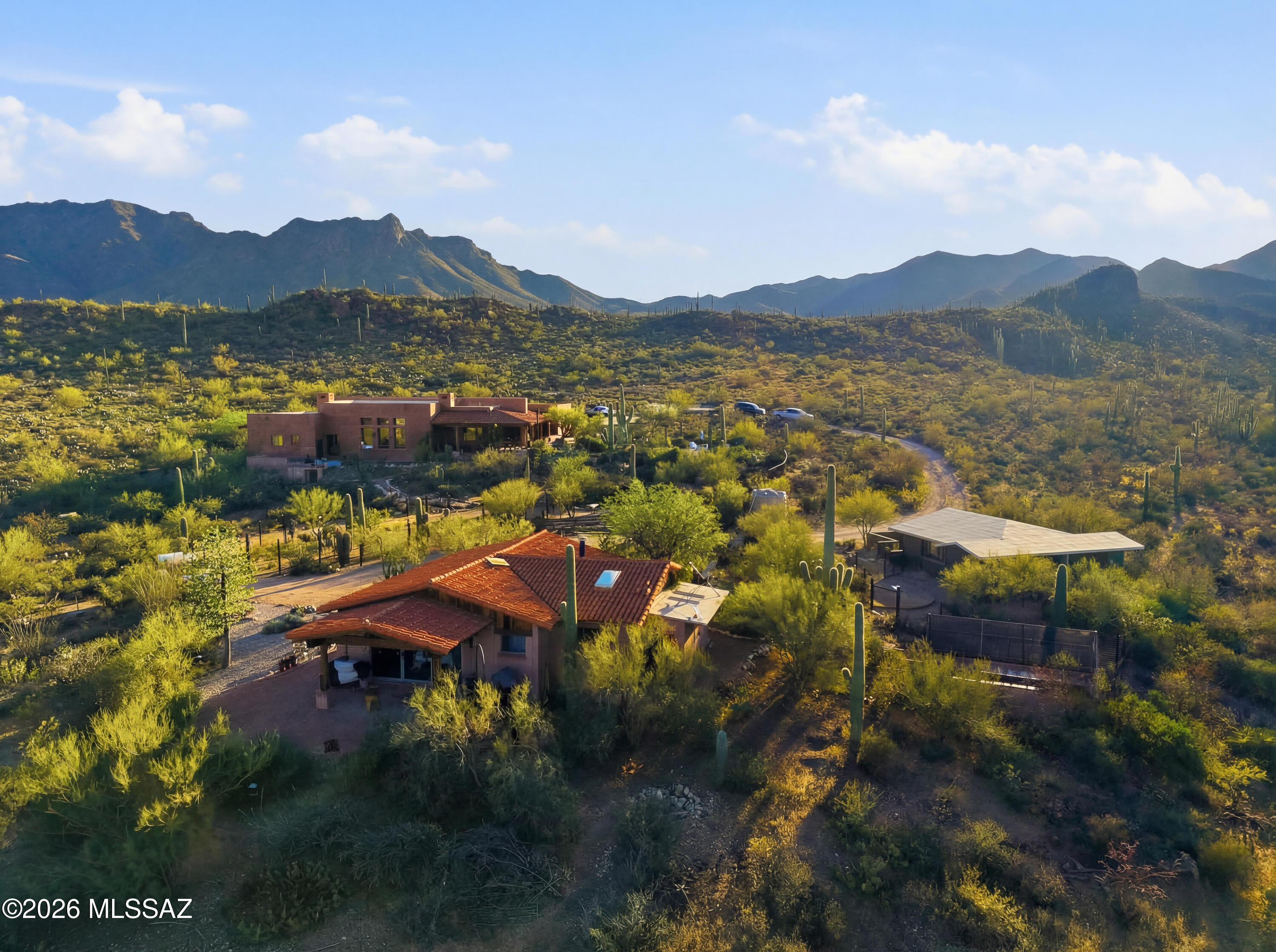 6780 W Banded Gecko Way