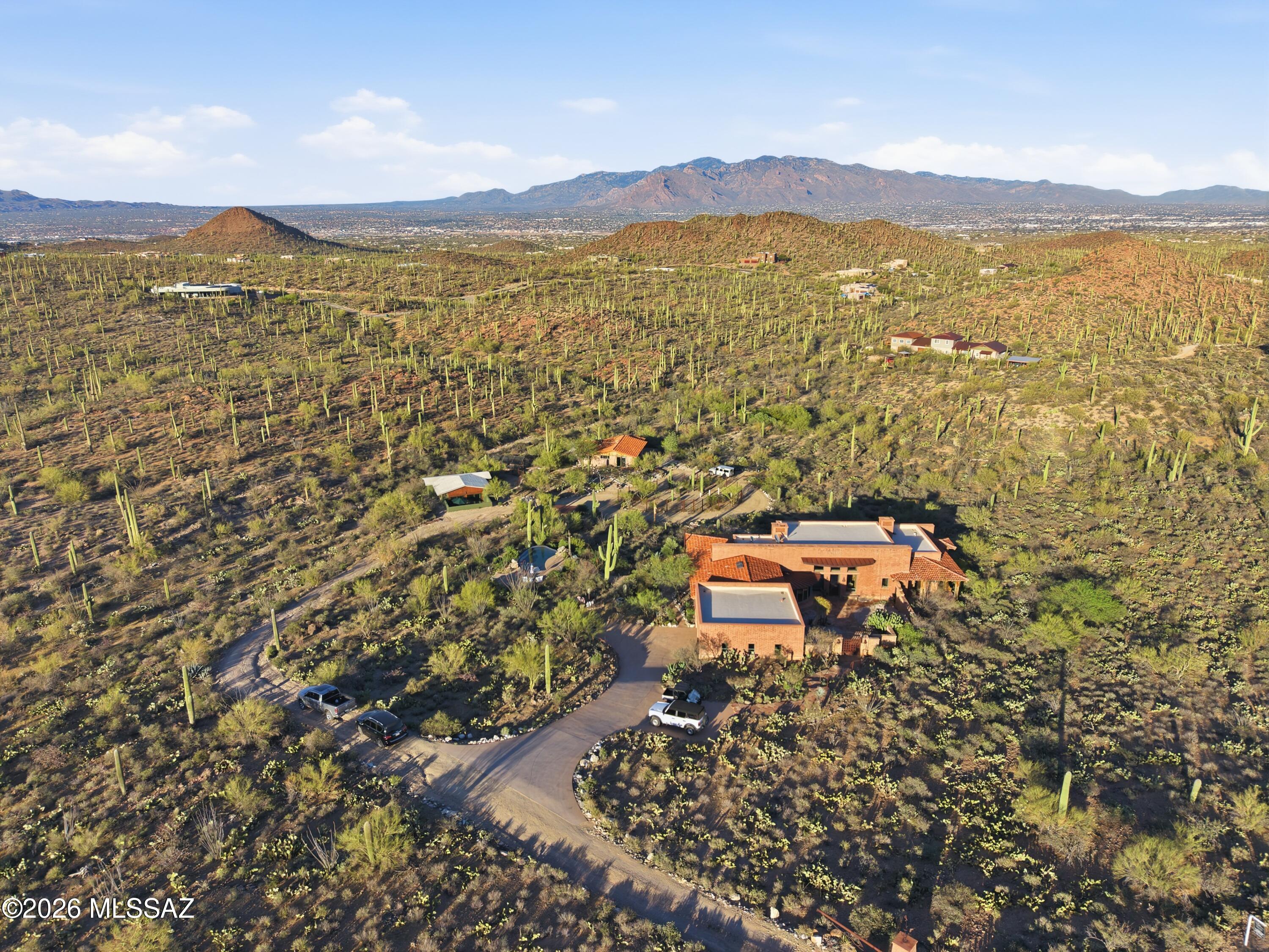 6780 W Banded Gecko Way