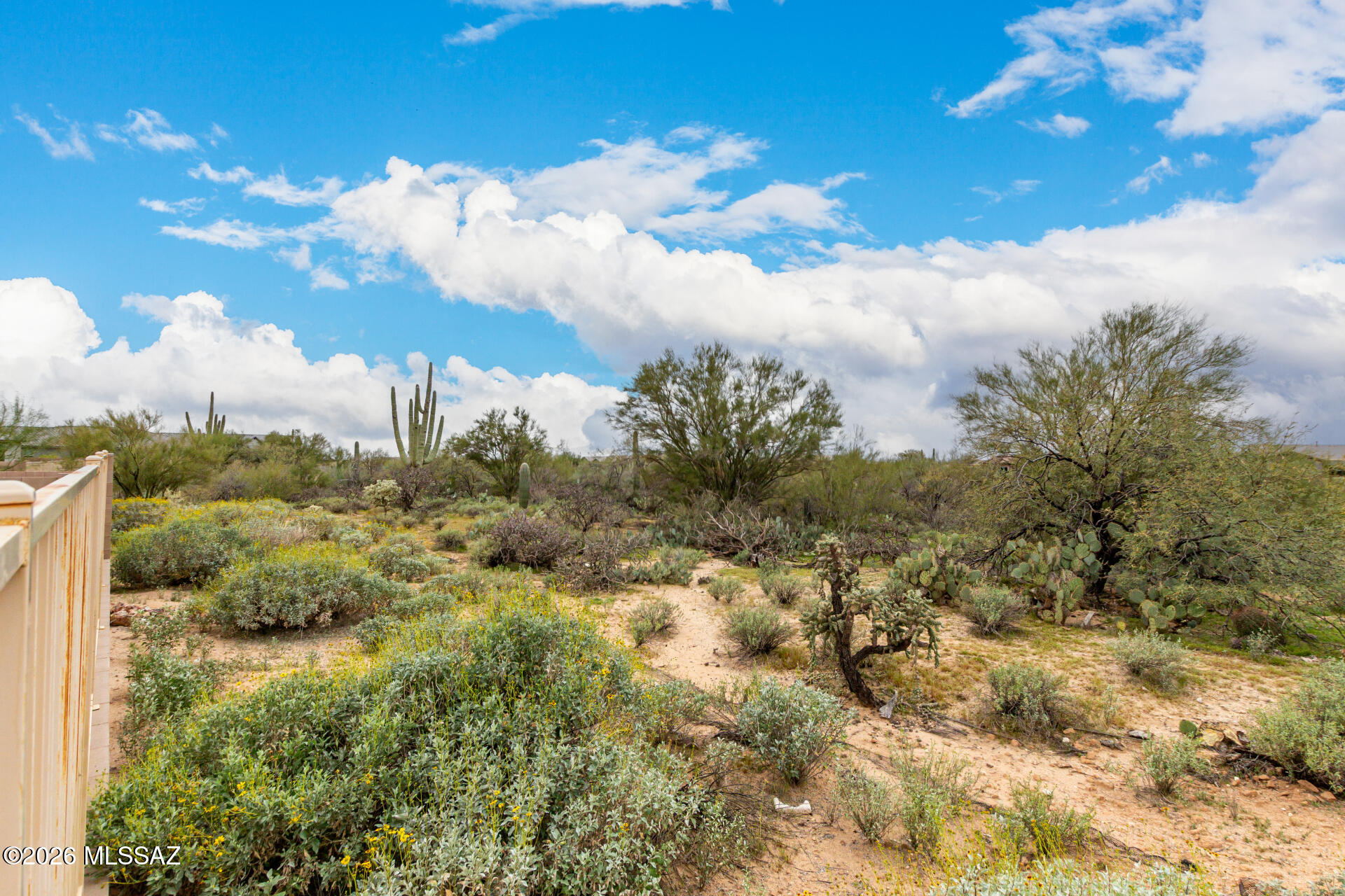 11461 N Gemini Drive