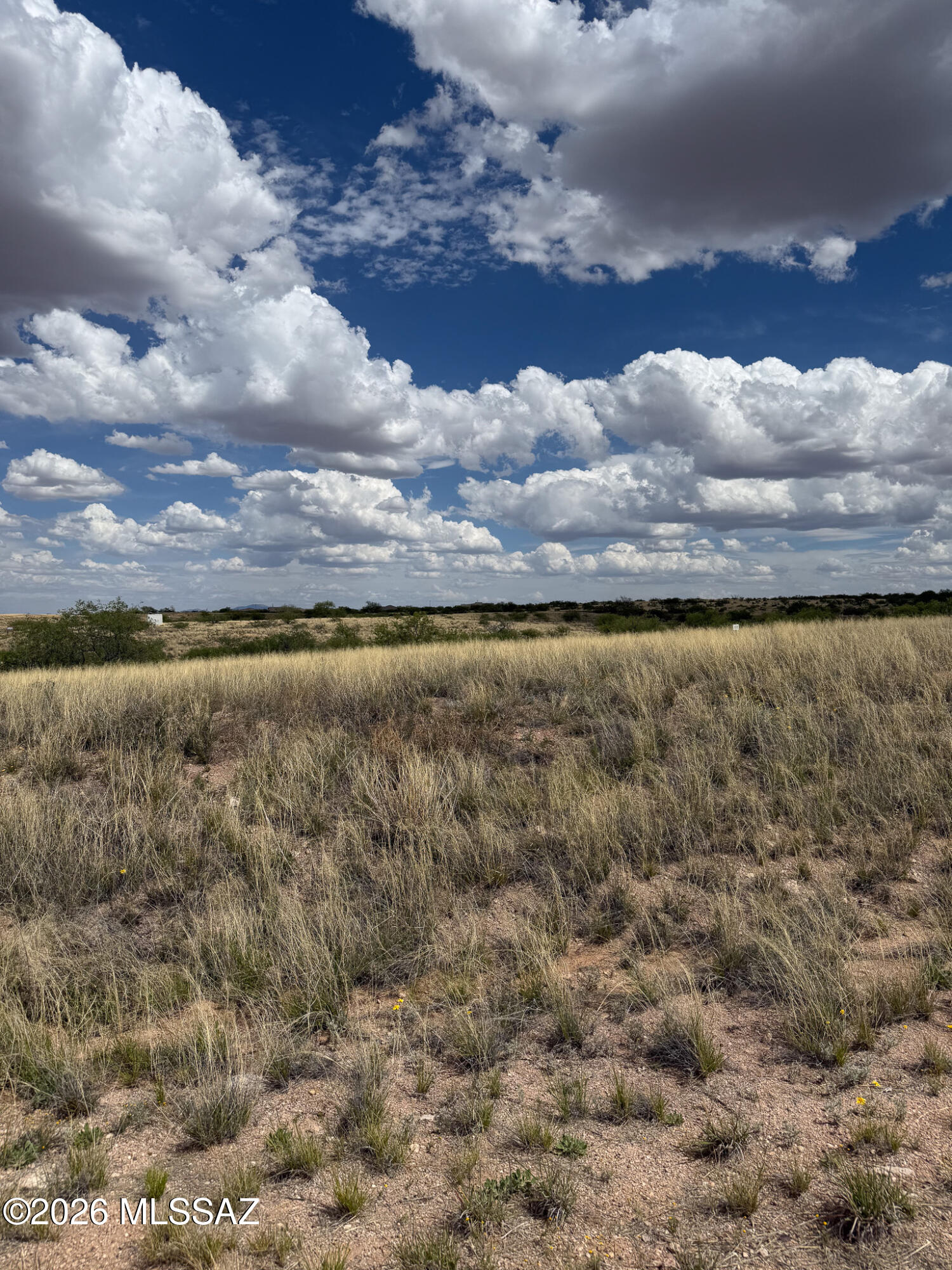 Red Hawk at J-6 Ranch - Land