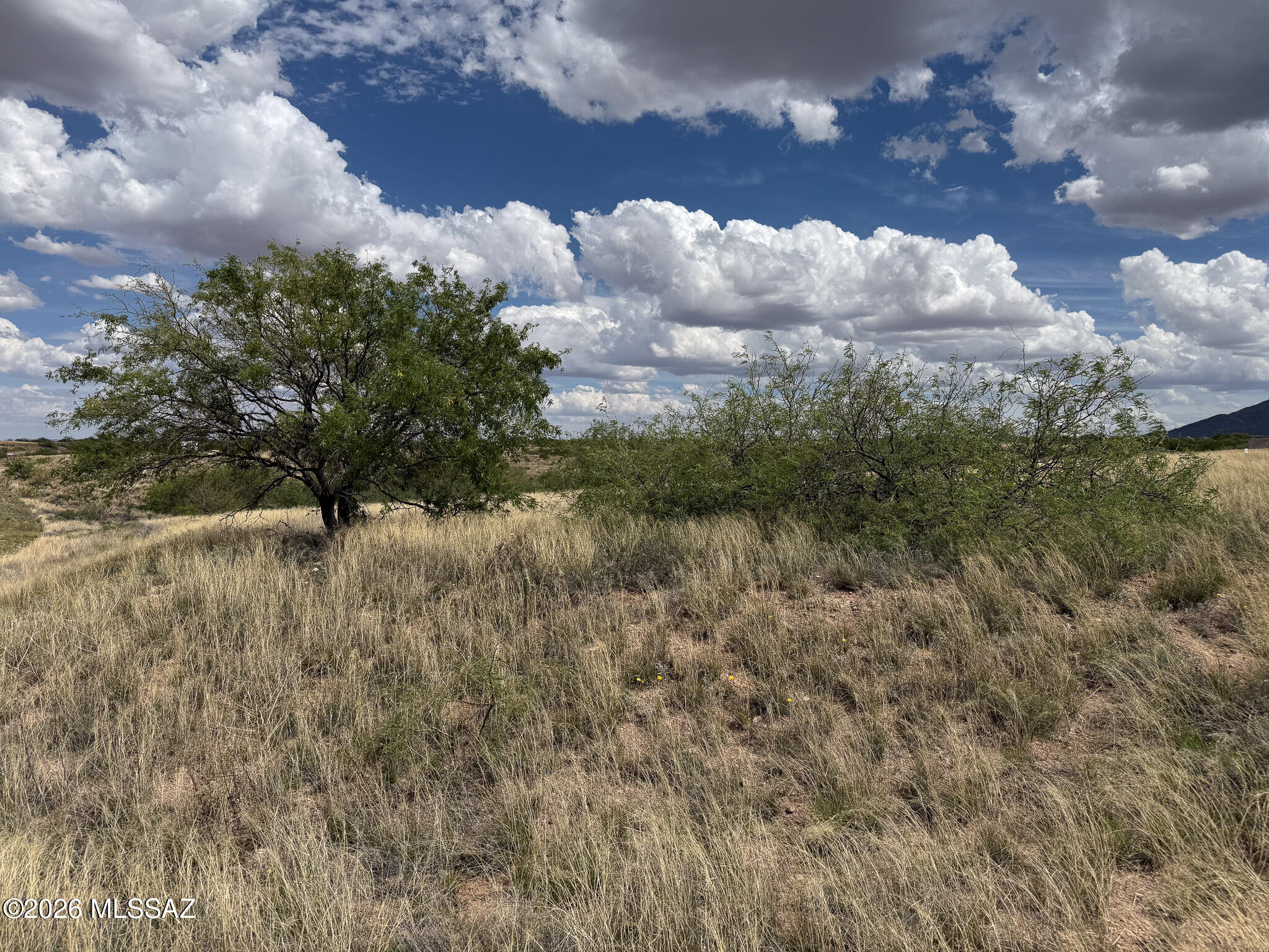 Red Hawk at J-6 Ranch - Land