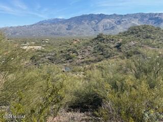 11409 E Calle Catalina