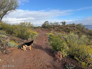 11409 E Calle Catalina