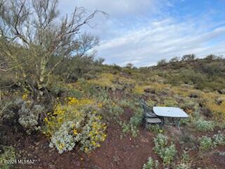 11409 E Calle Catalina