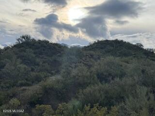 11409 E Calle Catalina