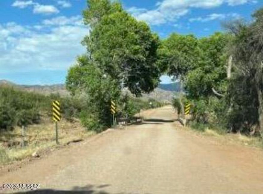 PRIME, DIVIDABLE acreage nestled at the base of the stunning Chiricahua Mountains, neighboring established vineyards and wineries. TURKEY CREEK RUNS THROUGH THE SW CORNER OF THIS 84.73 ACRES. This exceptional property features frontage along Turkey Creek Road and offers multiple picturesque build sites. Phase 1 electric available along Turkey Creek Road. This land is ready for your vision. Ideal for a vineyard, orchard, or small ranch, the possibilities for growth and development are abundant.  Enjoy a peaceful rural setting with convenient access to Highway 181 and 191, placing you within easy reach of nearby destinations such as Willcox, Chiricahua Ntl Monument, Mt Graham, Cochise Stronghold, and Bisbee-Douglas International Airport.