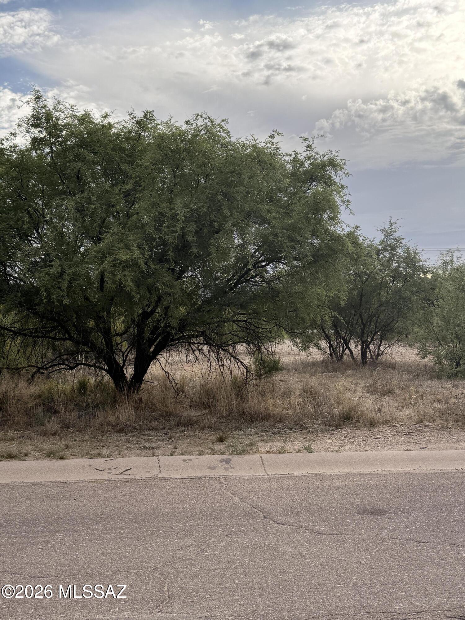 Rio Rico  Unit No 7 - Land
