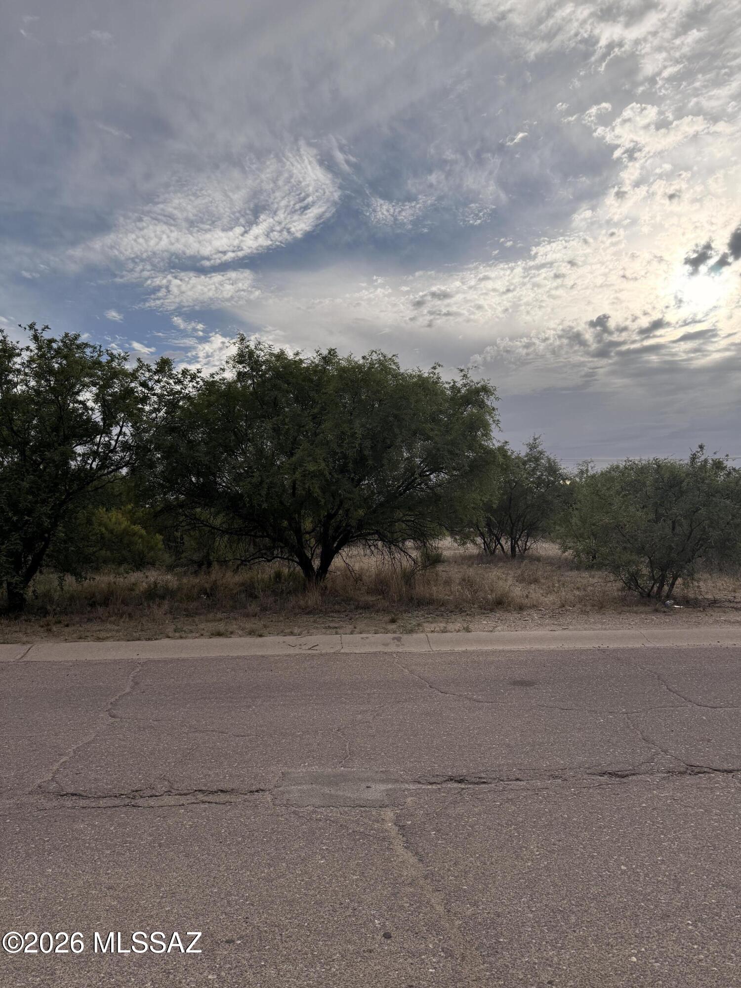 Rio Rico  Unit No 7 - Land