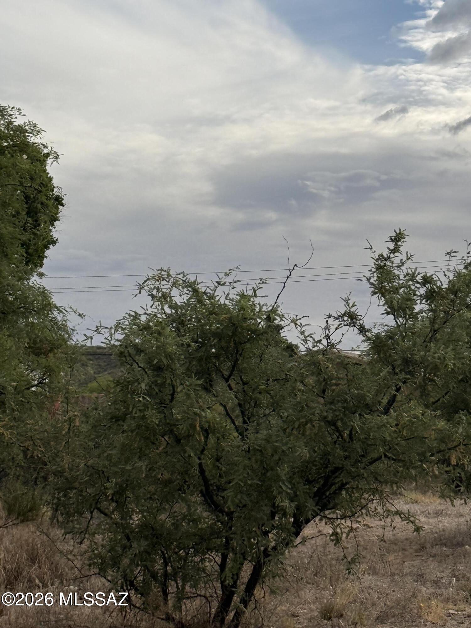 Rio Rico  Unit No 7 - Land