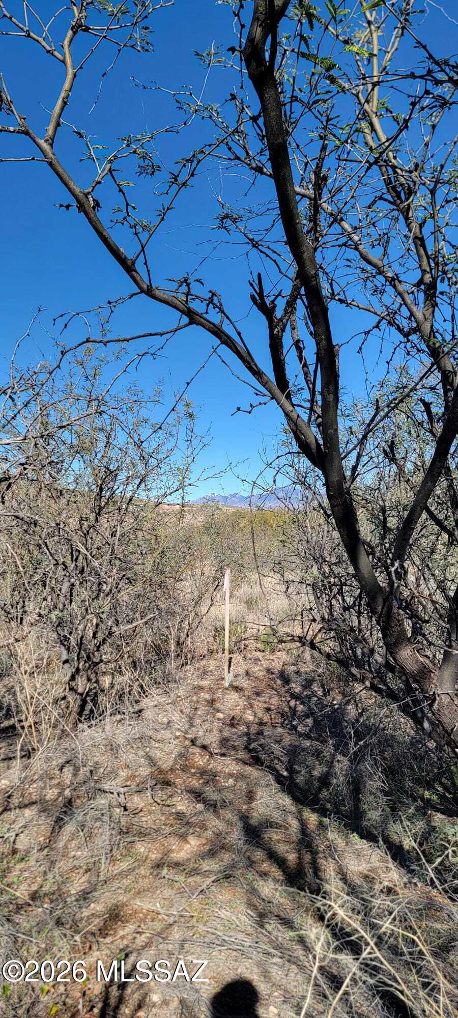 Rio Rico Ranchettes 9 - Land