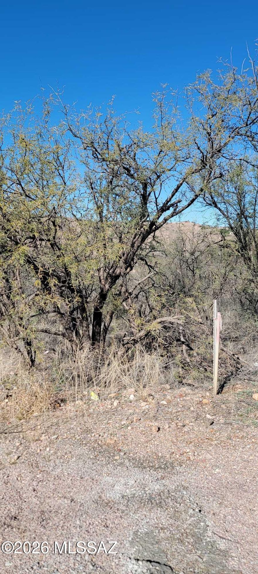 Residential lot with good views. Plenty of fairly flat area to build a house plus more lot that goes down the hillside. Nice views looking out Peck Canyon to the East of Mt. Wrightson and Hopkins. All paved access.