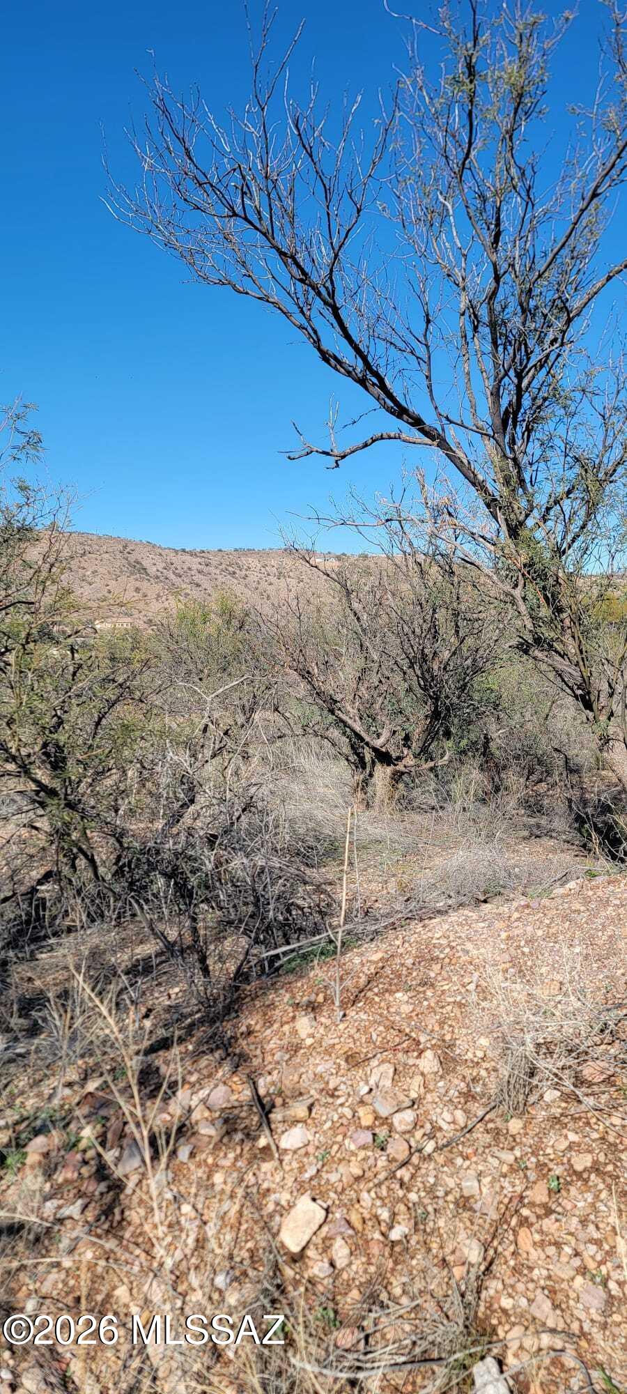Rio Rico Ranchettes 9 - Land