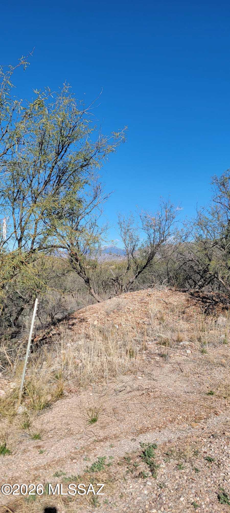 Rio Rico Ranchettes 9 - Land