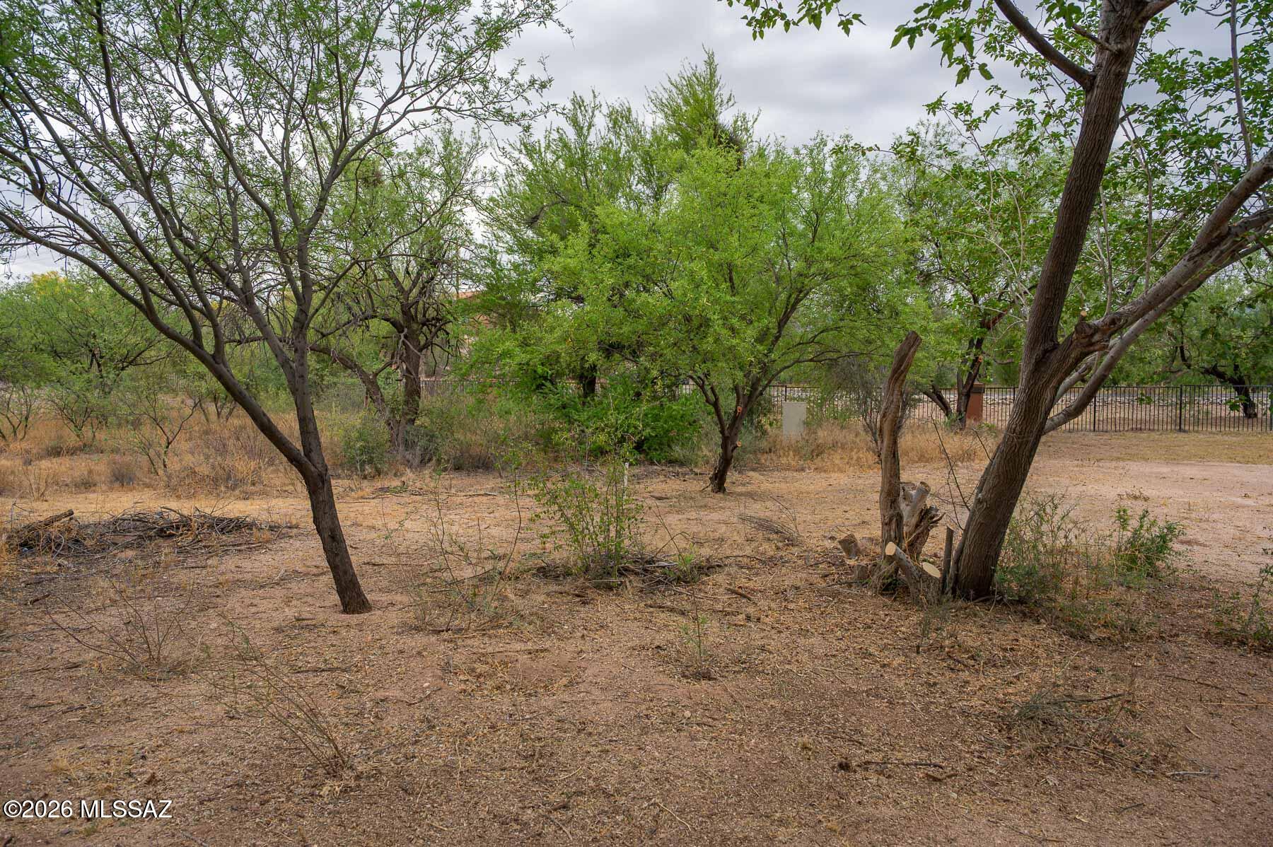 Forty Niners Country Club Estates - Land