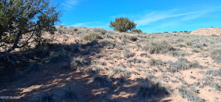 Beautiful views and lots of privacy. Enjoy the peace and quiet on your own 3 acre property in Northeast Arizona. Mostly flat property with gentle rolling hills. Bring your toy and live in harmony. Enjoy the sunrise and sunsets from your dream location. Don't miss out