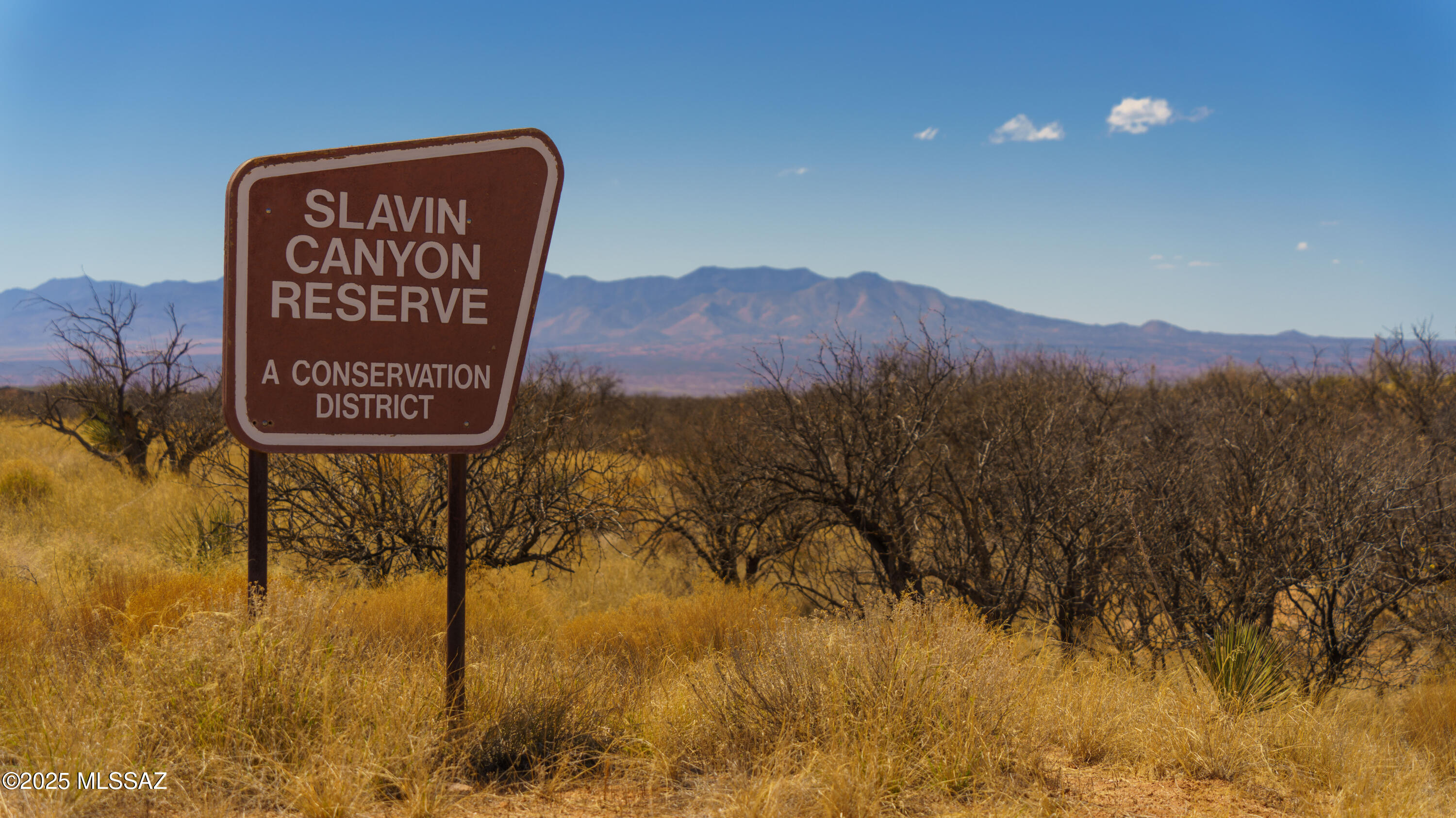 Dragoon Mountain Ranch - Land