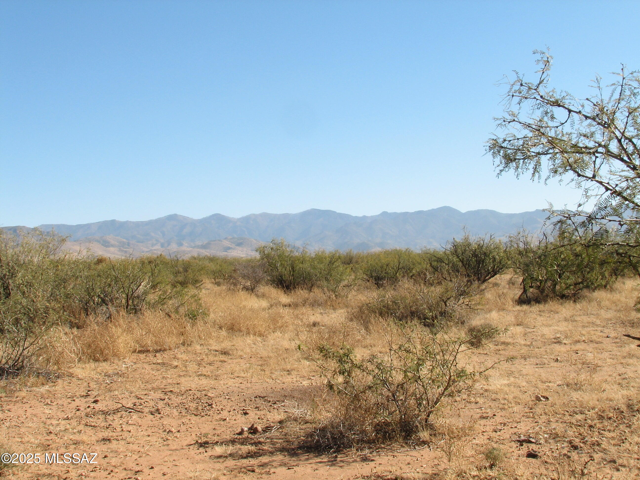 40.24 Acre Cross Creek 0