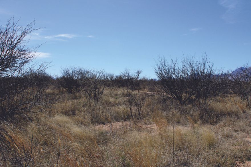 Here is a great RU-4 zoned property, ideal for the owner-builder opt-out or your traditional type of home. Power is available at the edge of the property and there is a 1/4 well share. Conveniently located between Sierra Vista and Bisbee for your shopping need. Short drive to all of Cochise Counties Historic locations. Seller financing is available with $7900 Down plus Pioneer Title account setup and closing Costs, for10 years at 9.9 percent interest. with a payment of $289.51 per month plus Pioneer Title Processing fee and impounded property tax.