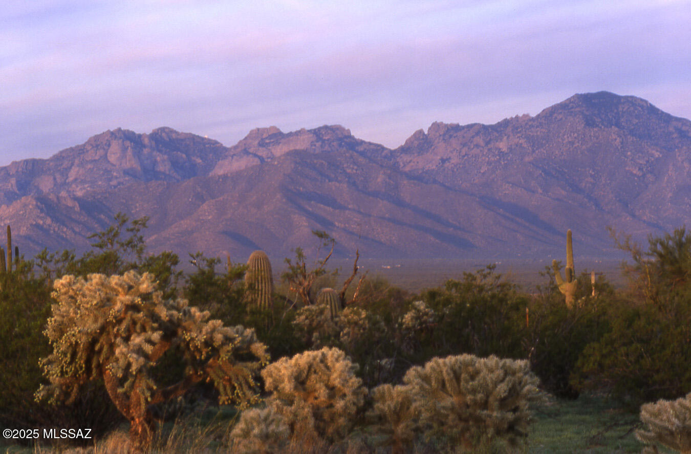 Diamond Bell Ranch - Tucson Unit 14 (1-412) - Land