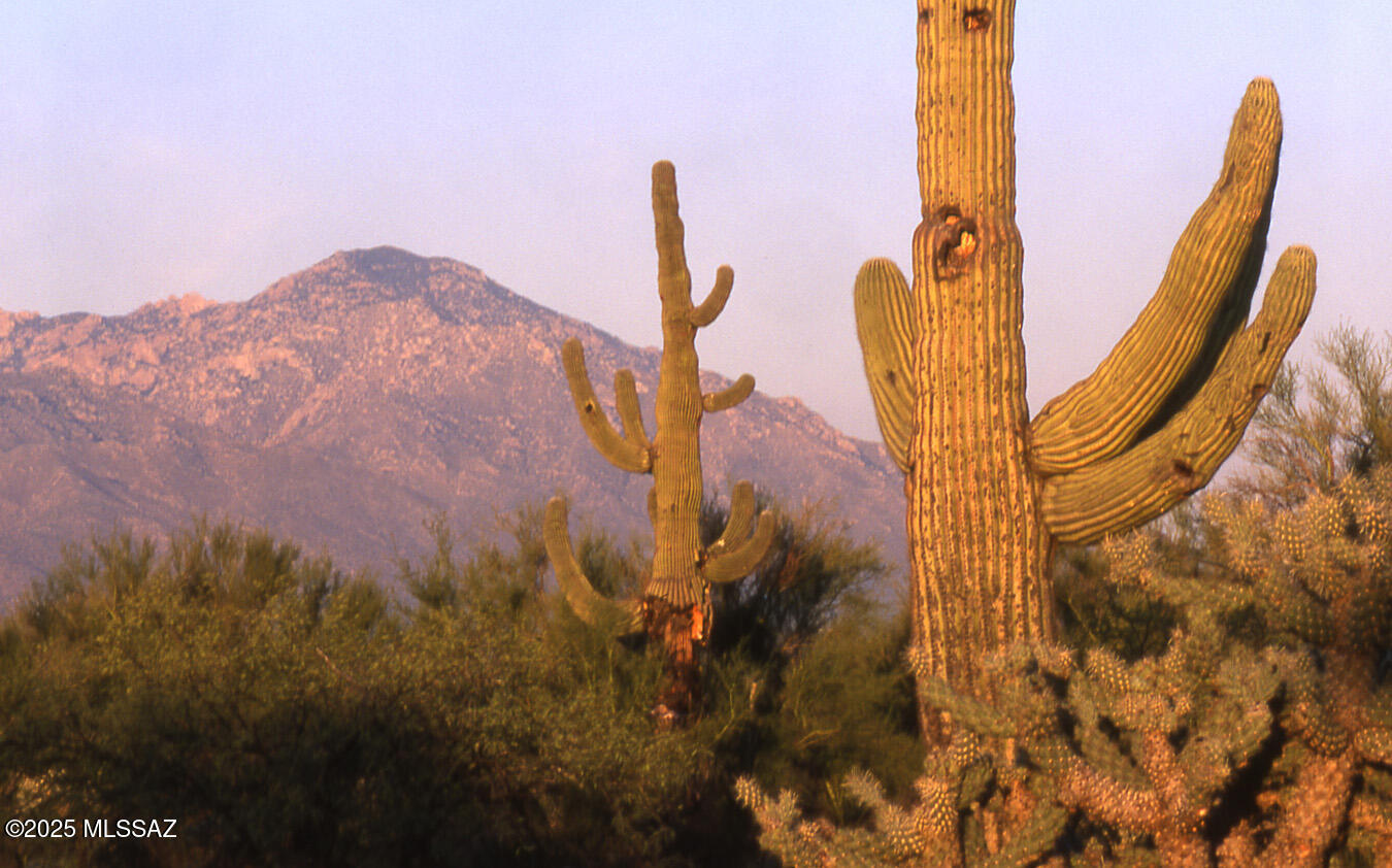 Diamond Bell Ranch - Tucson Unit 14 (1-412) - Land