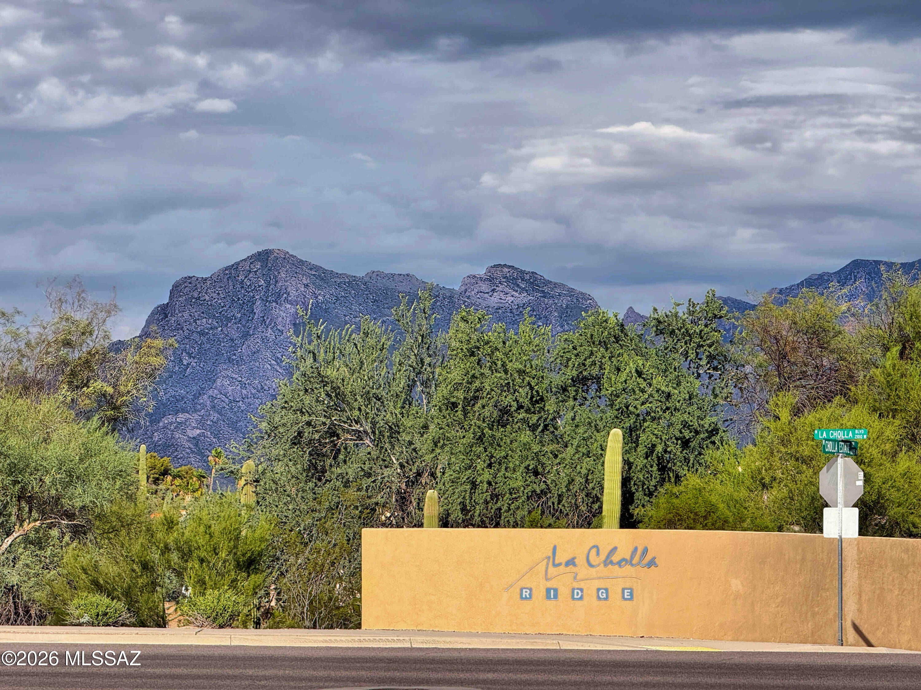 1966 W Cholla Vista Drive