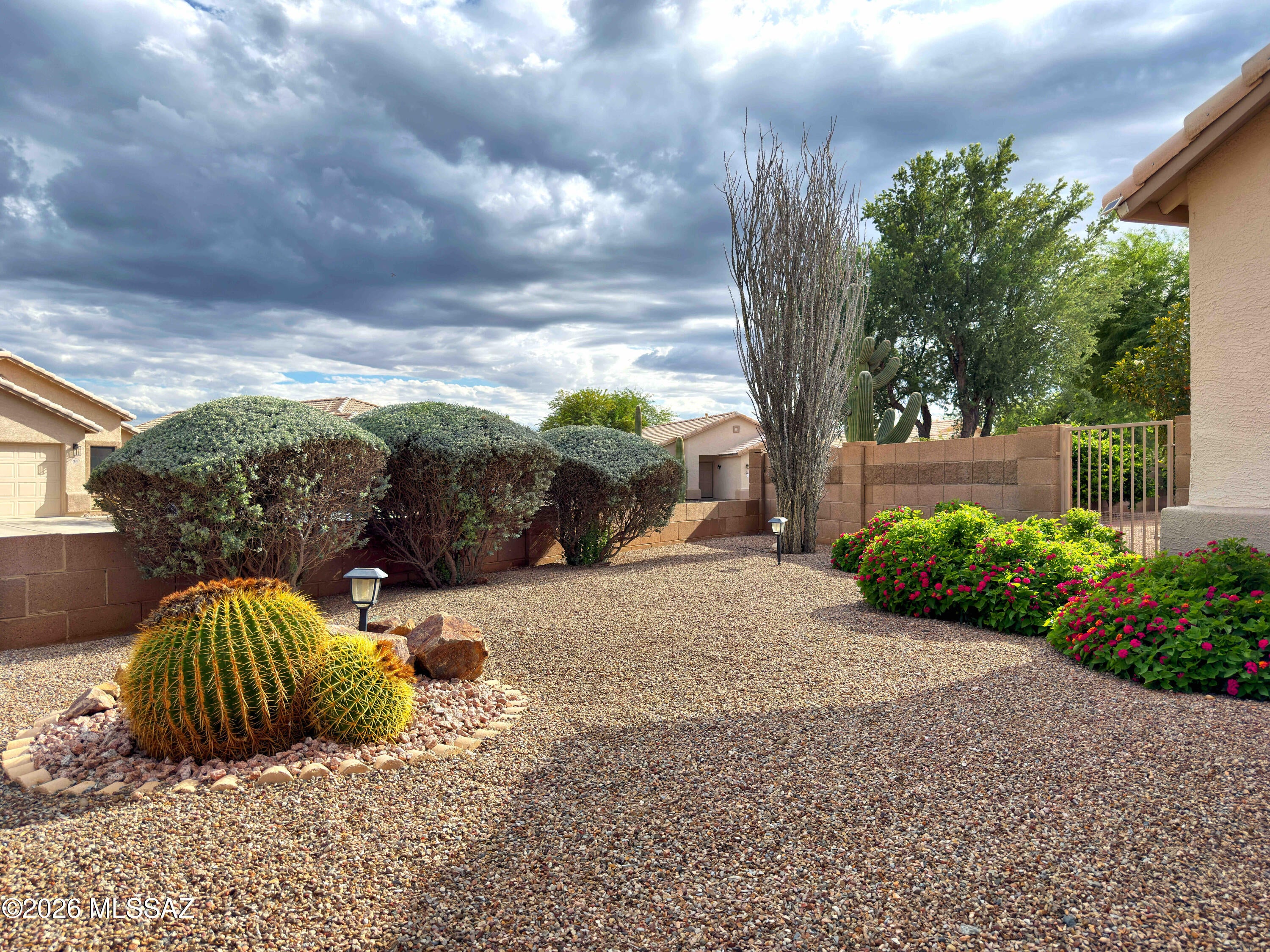 1966 W Cholla Vista Drive