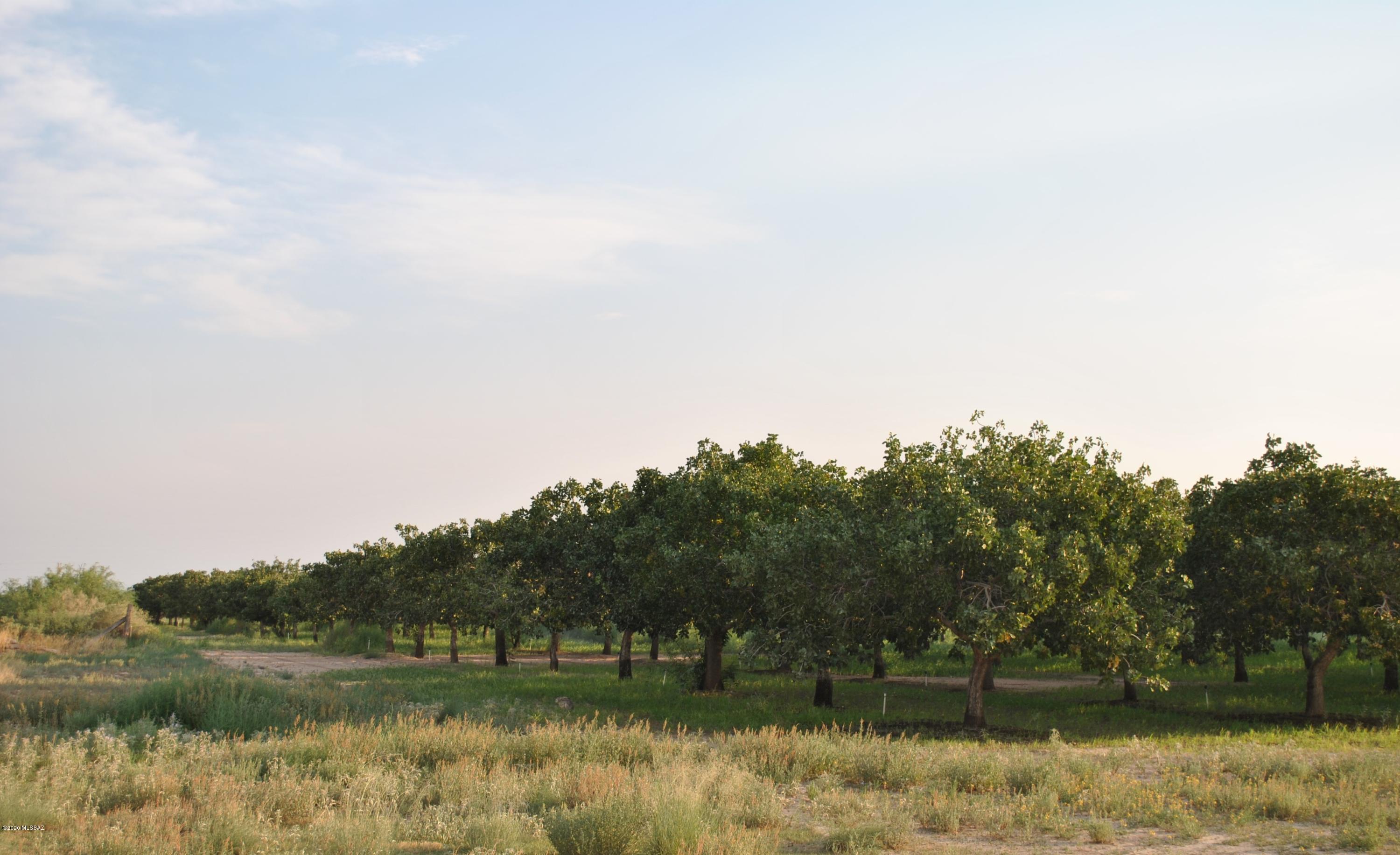 Other/Unknown - Farm
