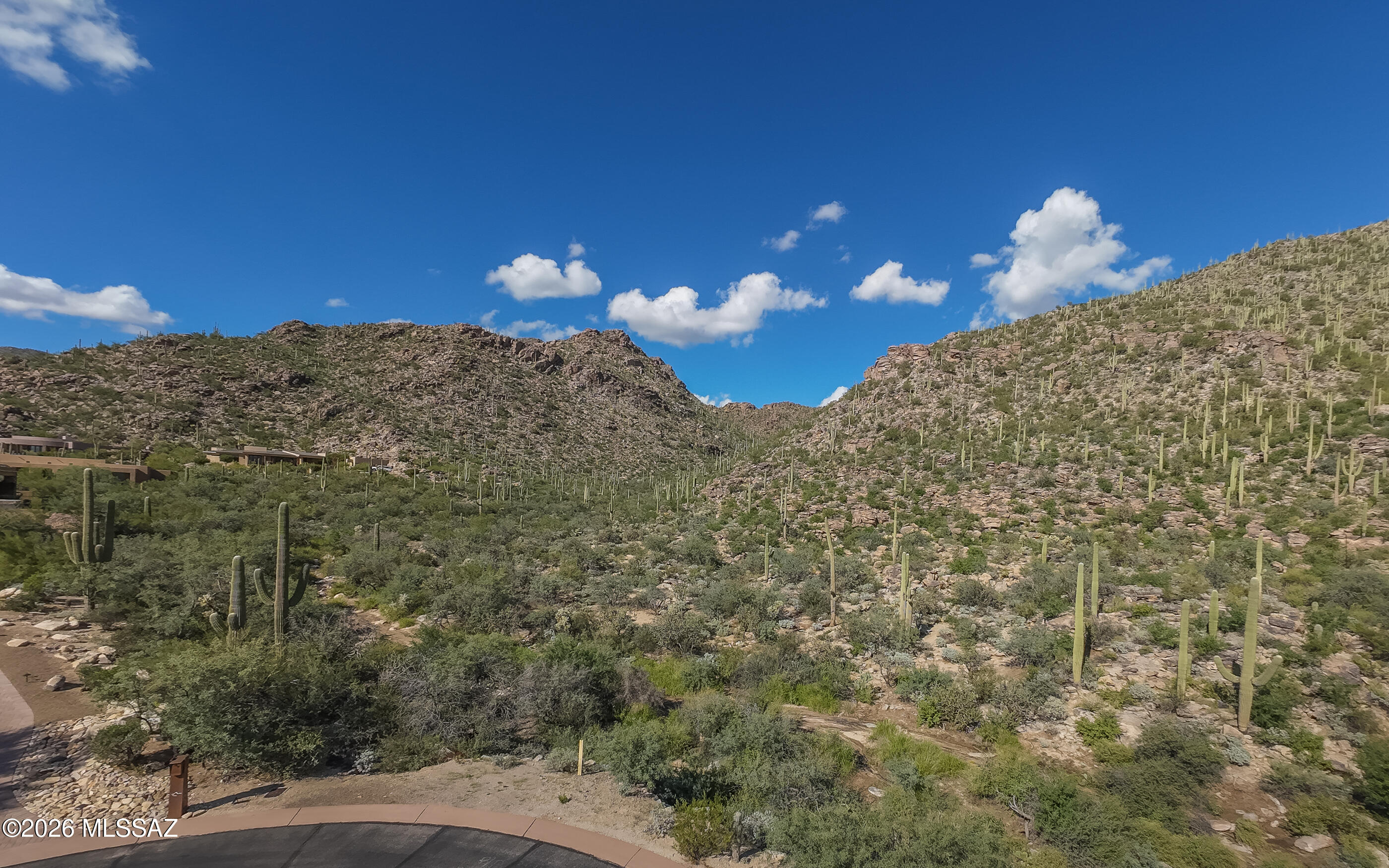 13768 N Cactus Valley Court 238