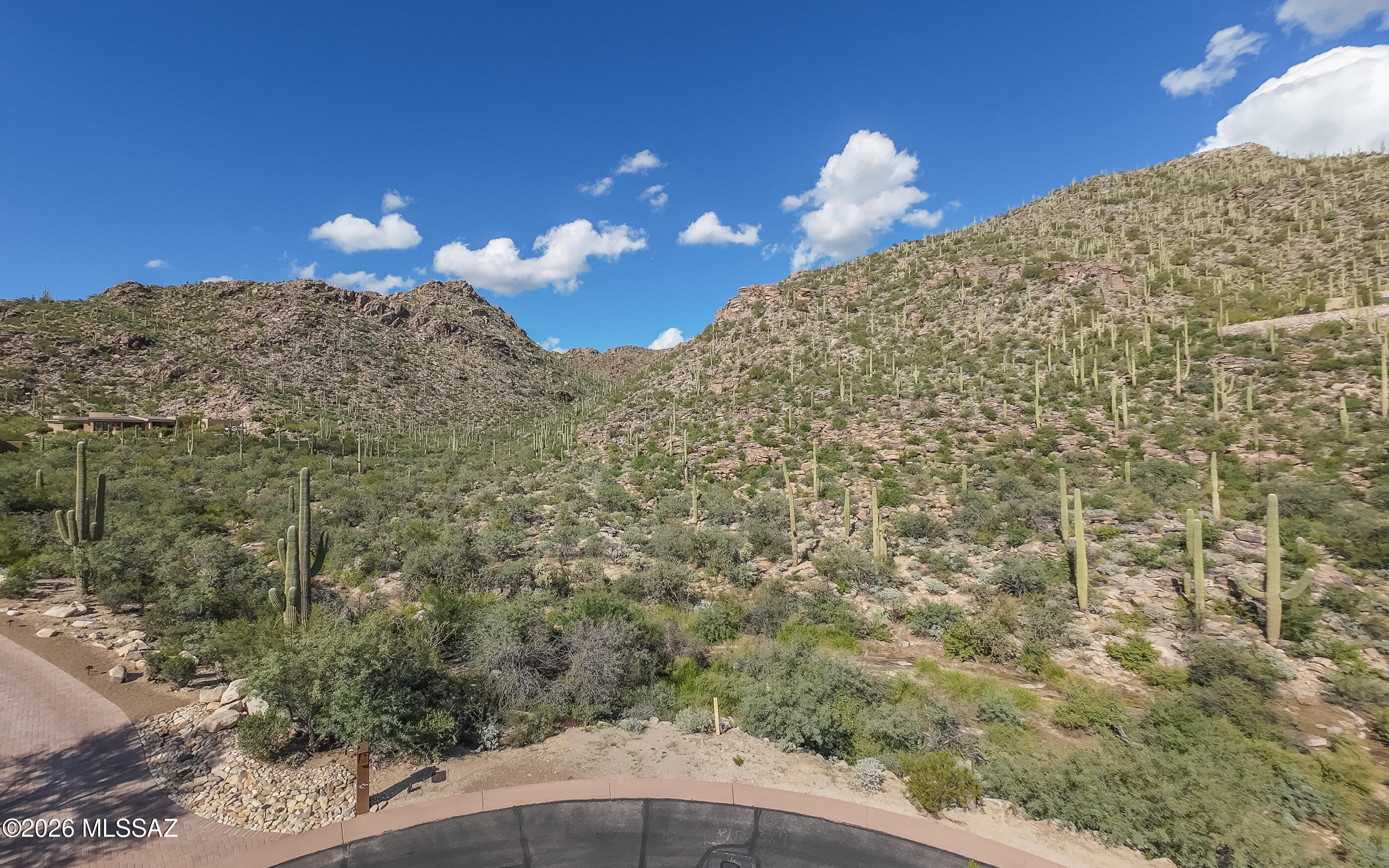 13768 N Cactus Valley Court 238