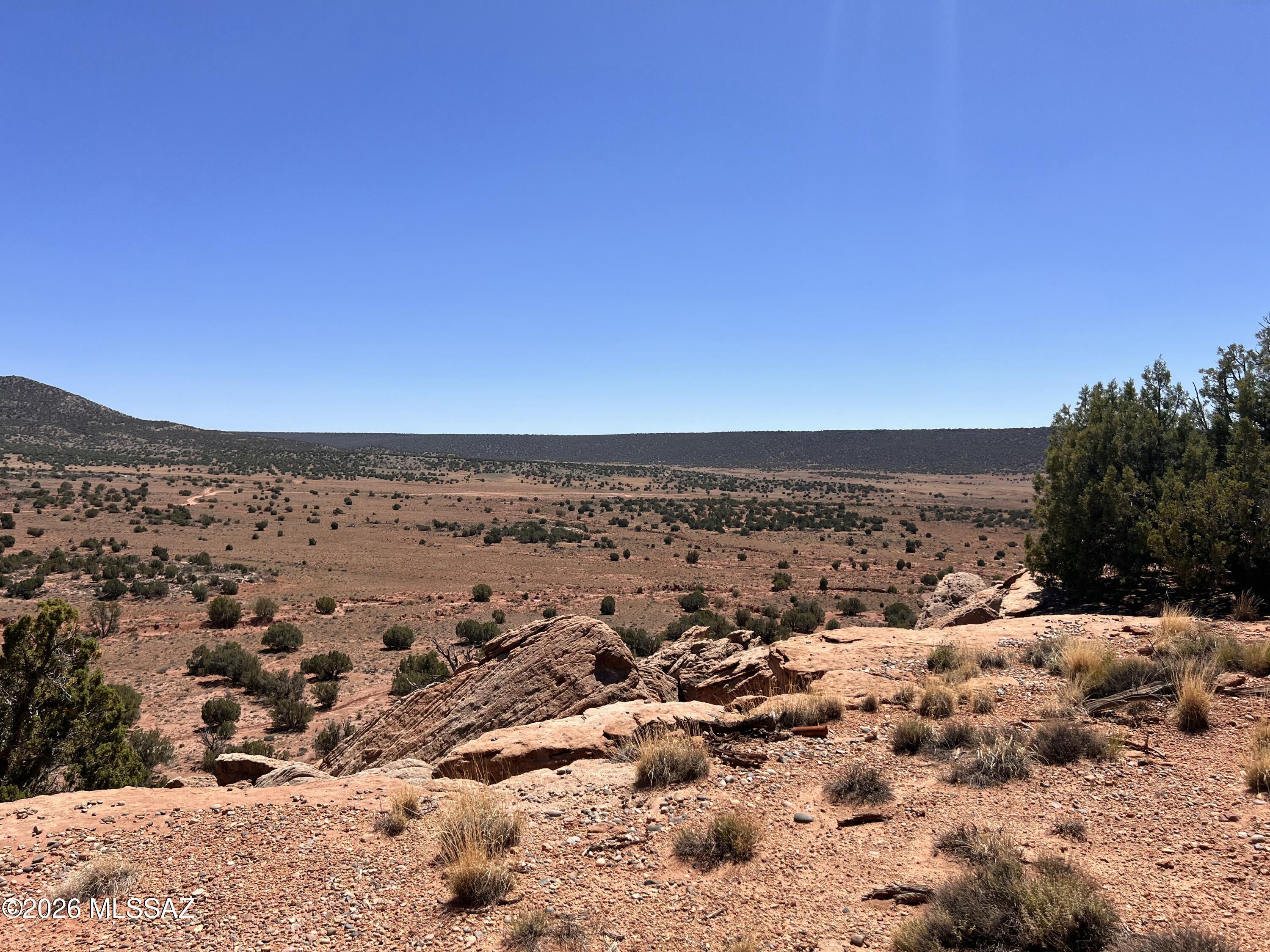 Out Of Pima County - Land