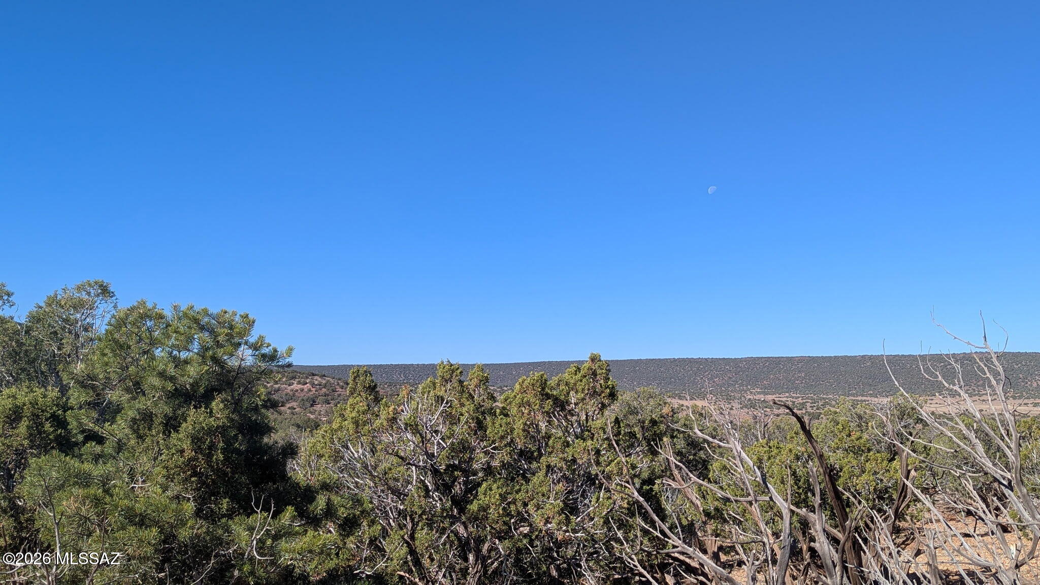 Out Of Pima County - Land