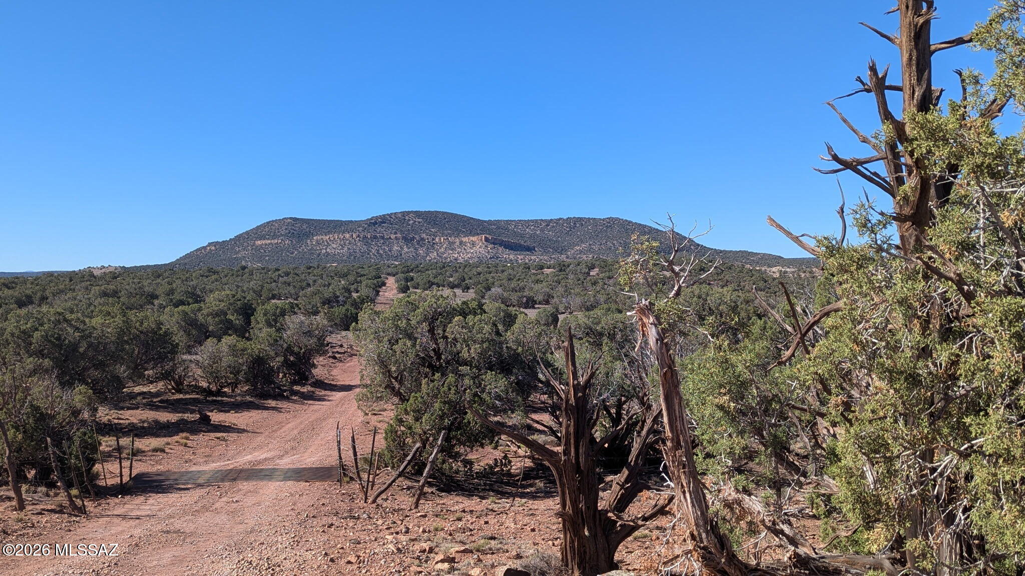 Out Of Pima County - Land