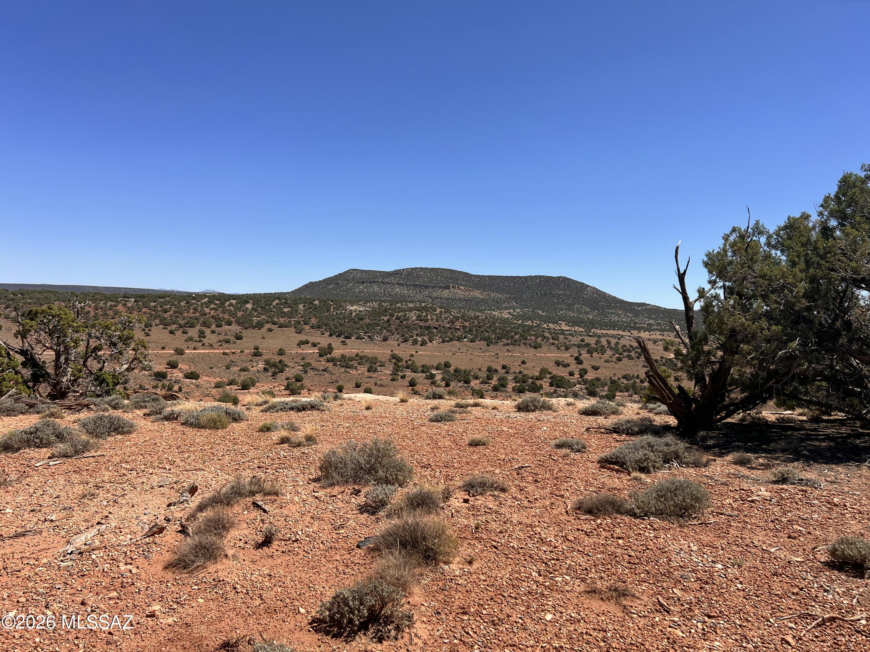 Out Of Pima County - Land