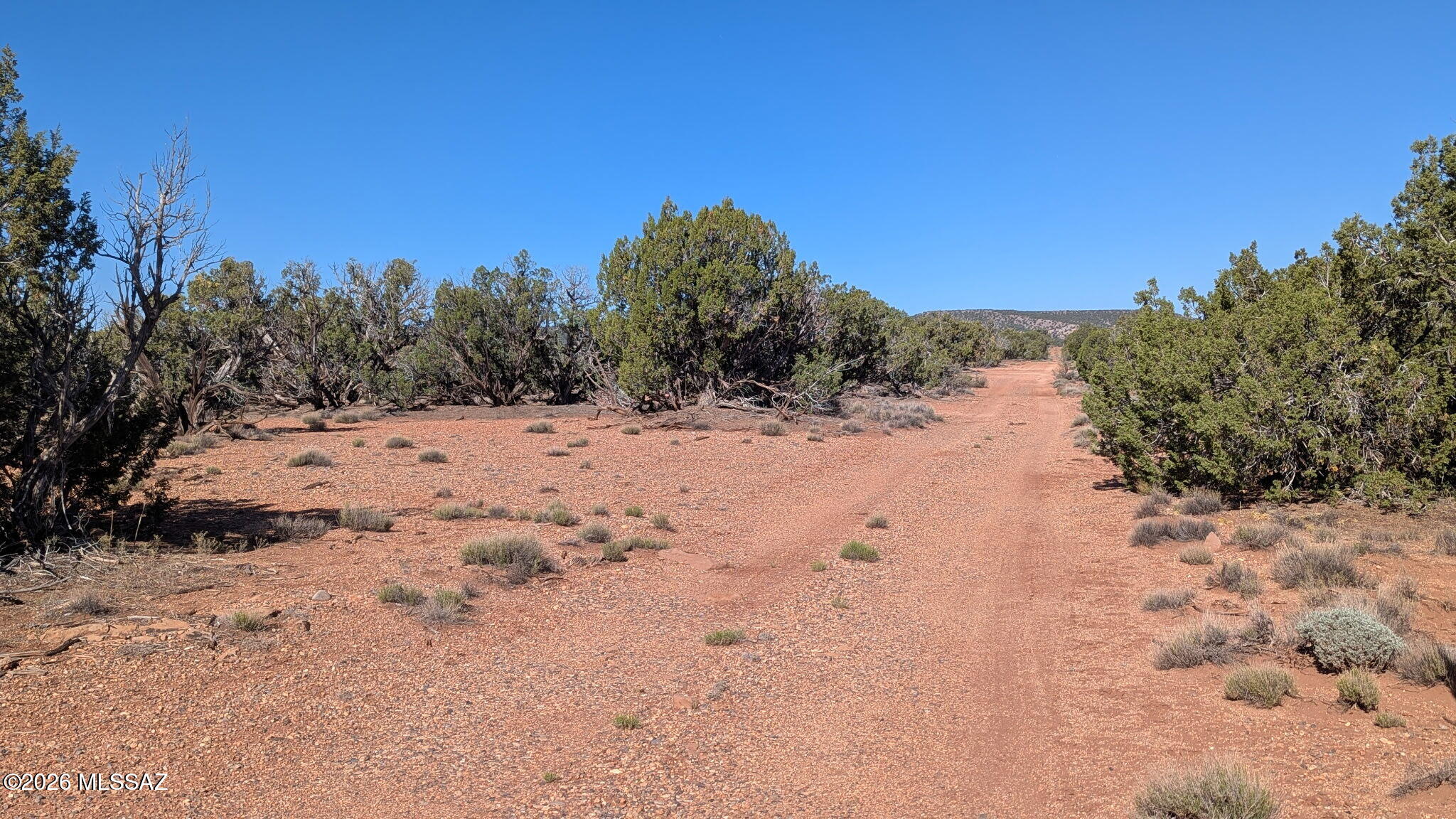 Out Of Pima County - Land