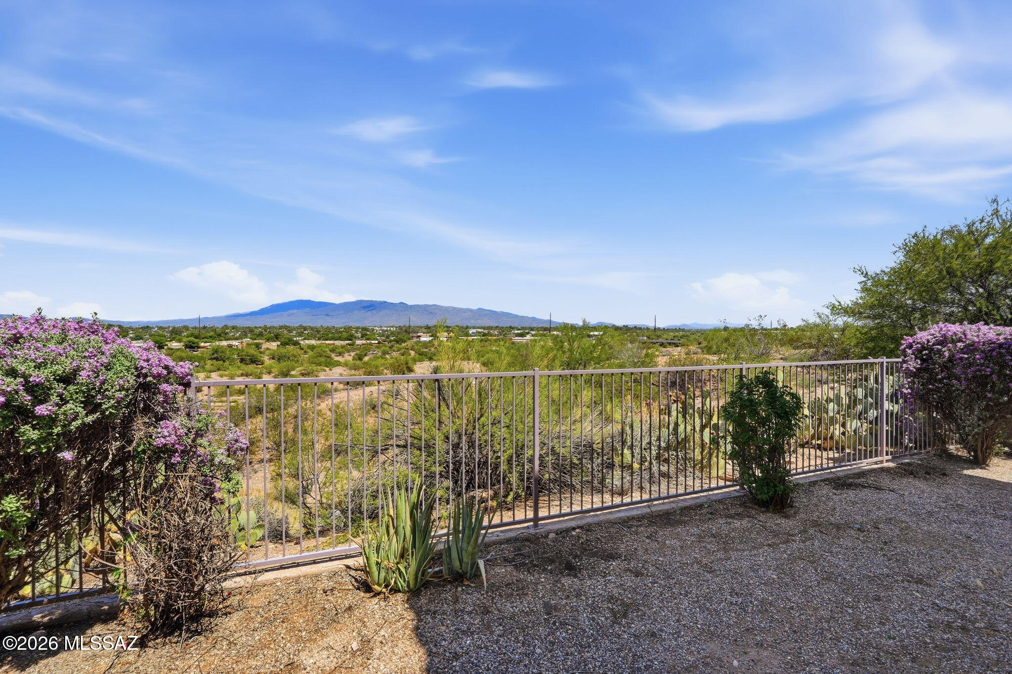 973 S Pantano Overlook Drive