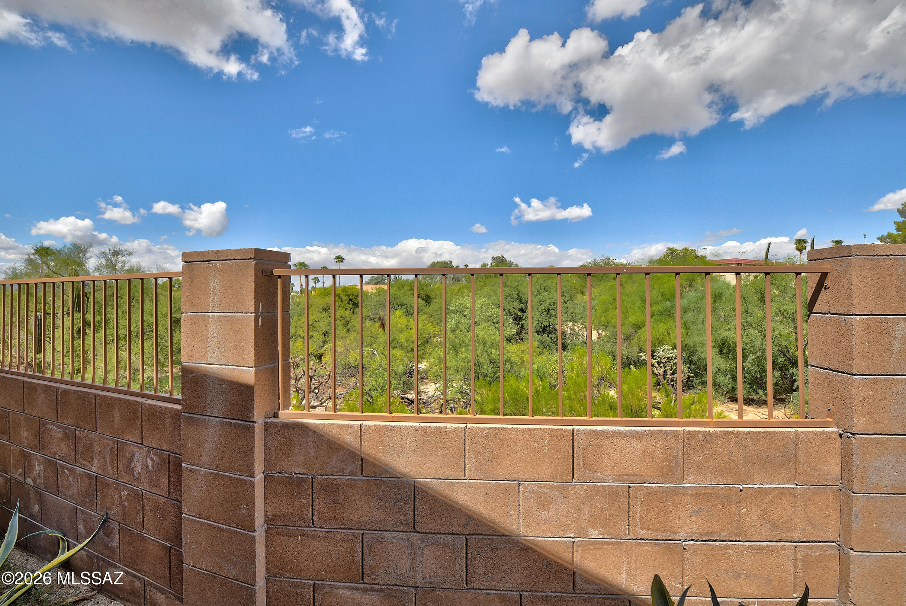 Saguaro Station - Residential
