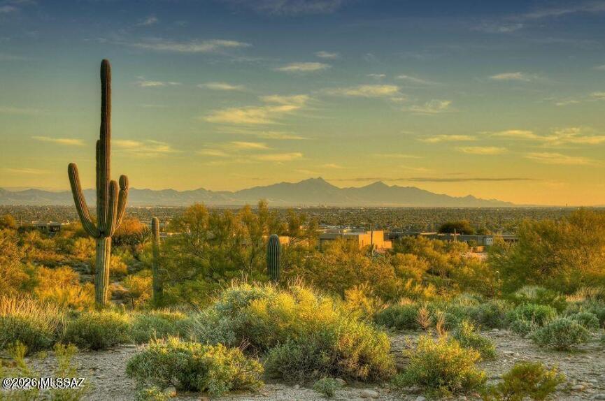 Quintana in the Catalina Foothills - Residential