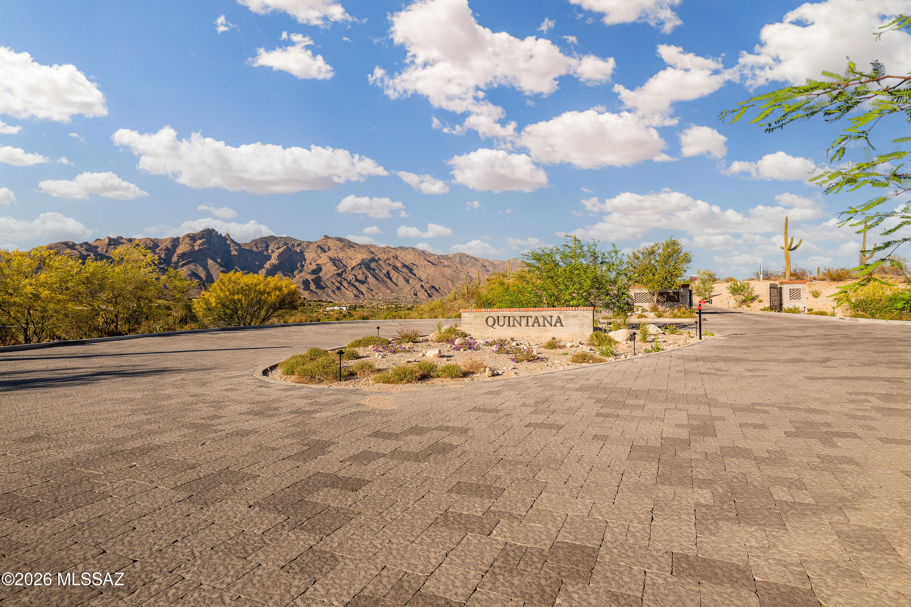 5145 N Camino Antonio 12