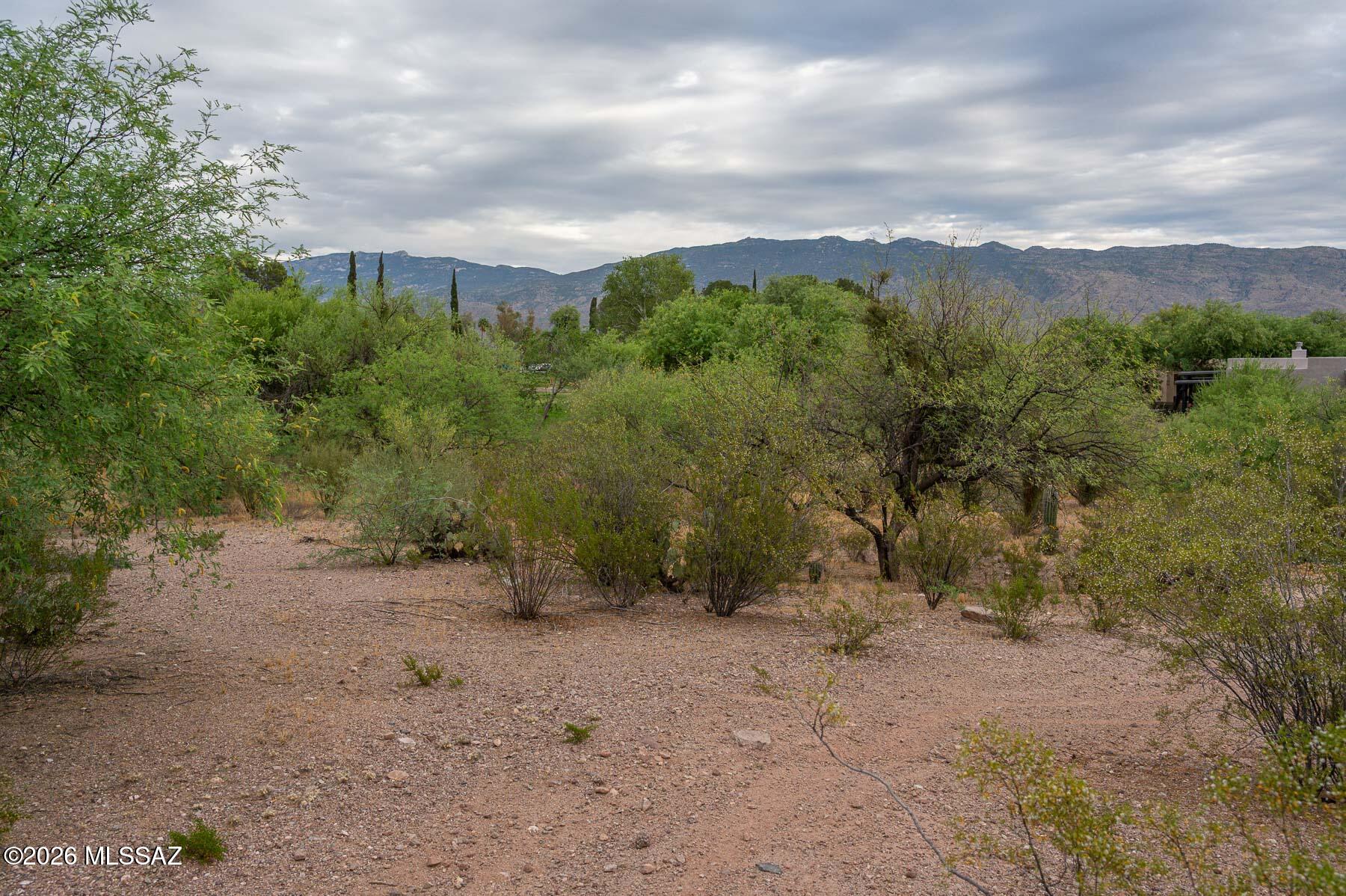 Forty Niners Country Club Estates - Land
