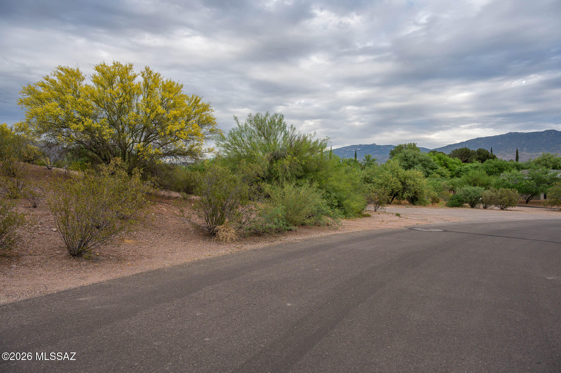 Forty Niners Country Club Estates - Land